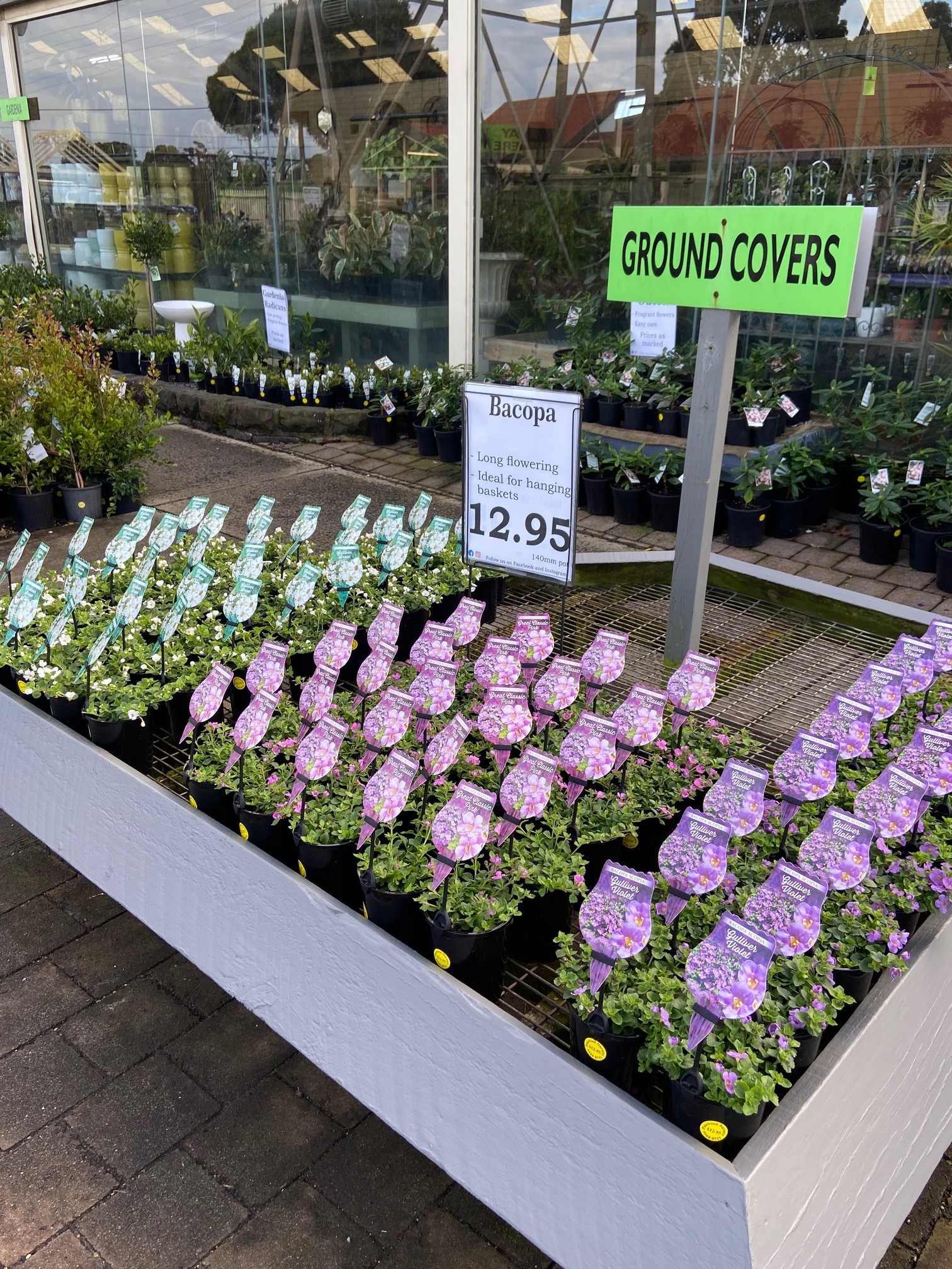 Plant range Pinewood Nursery