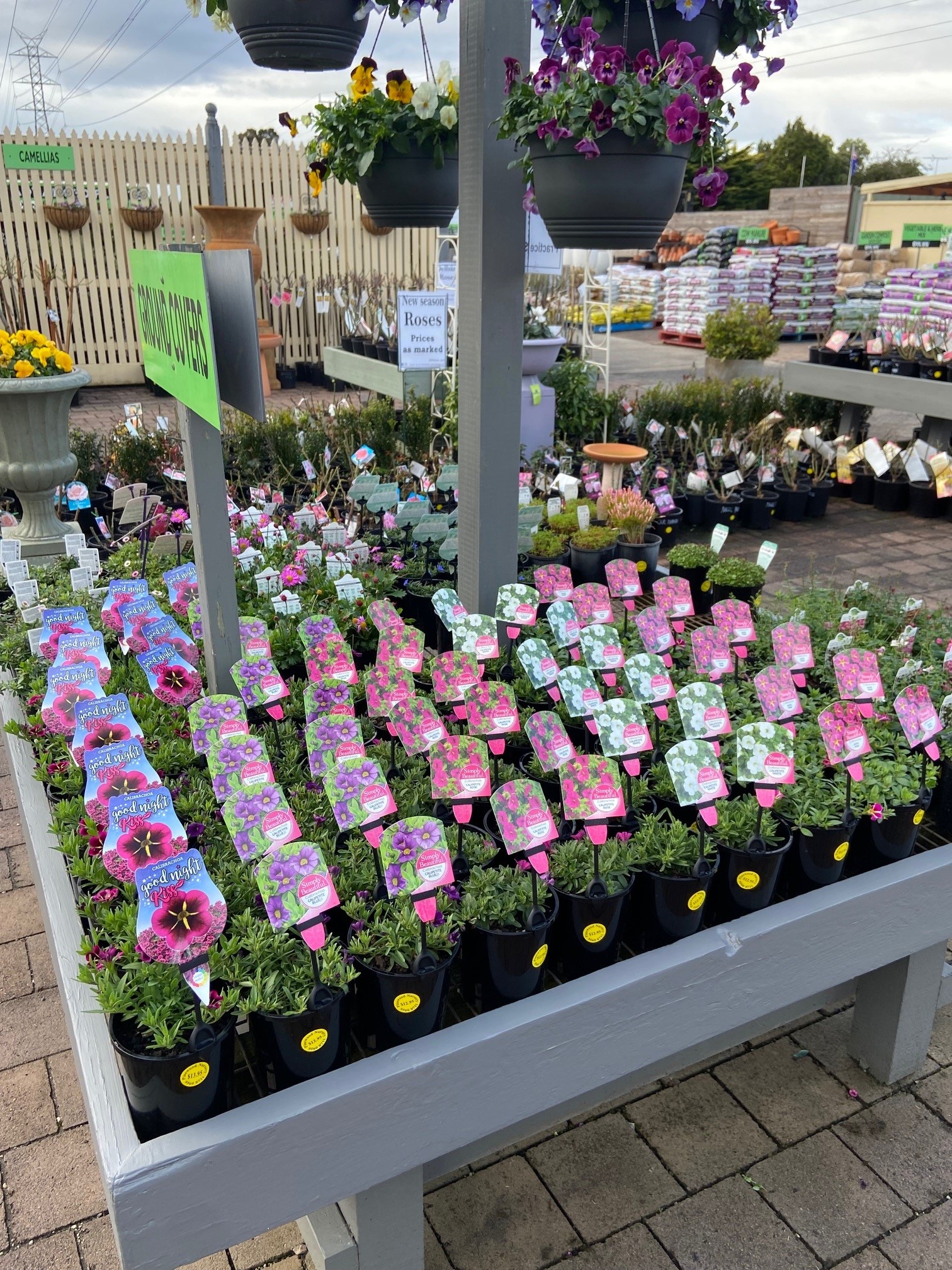 Plant range Pinewood Nursery