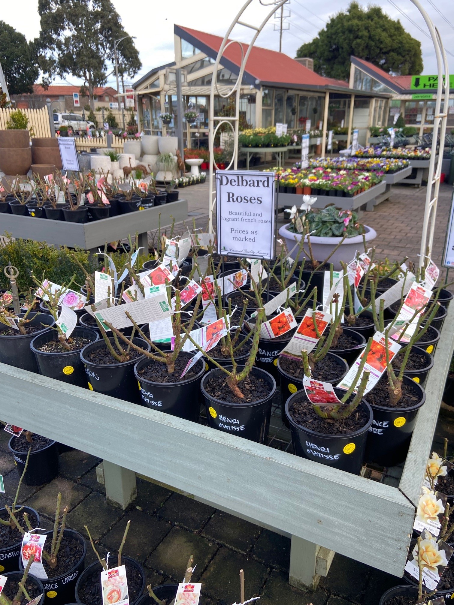 Plant range Pinewood Nursery