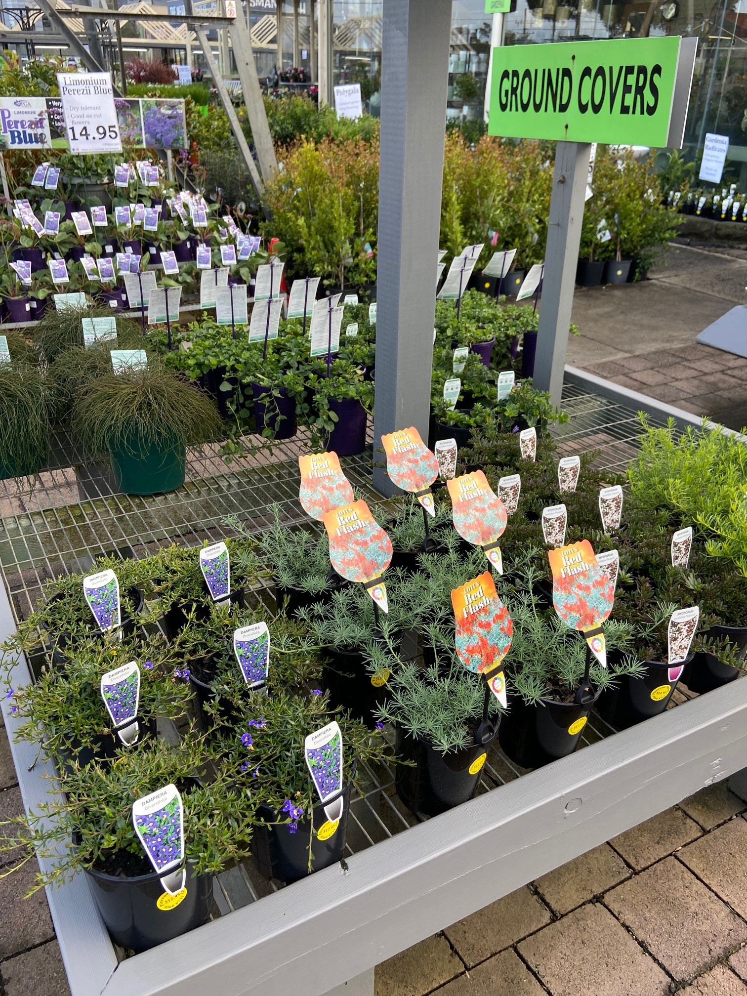 Plant range Pinewood Nursery