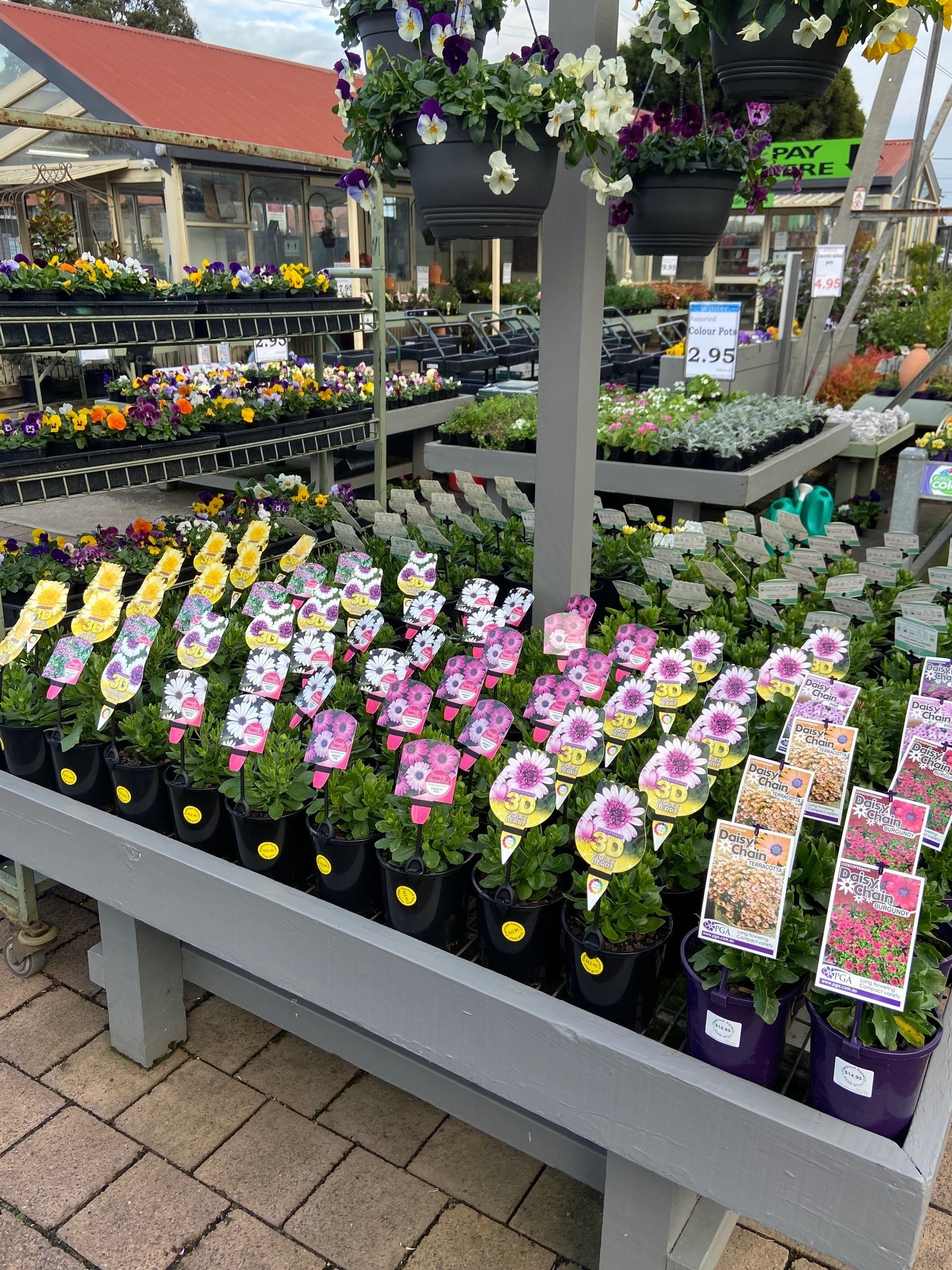 Plant range Pinewood Nursery