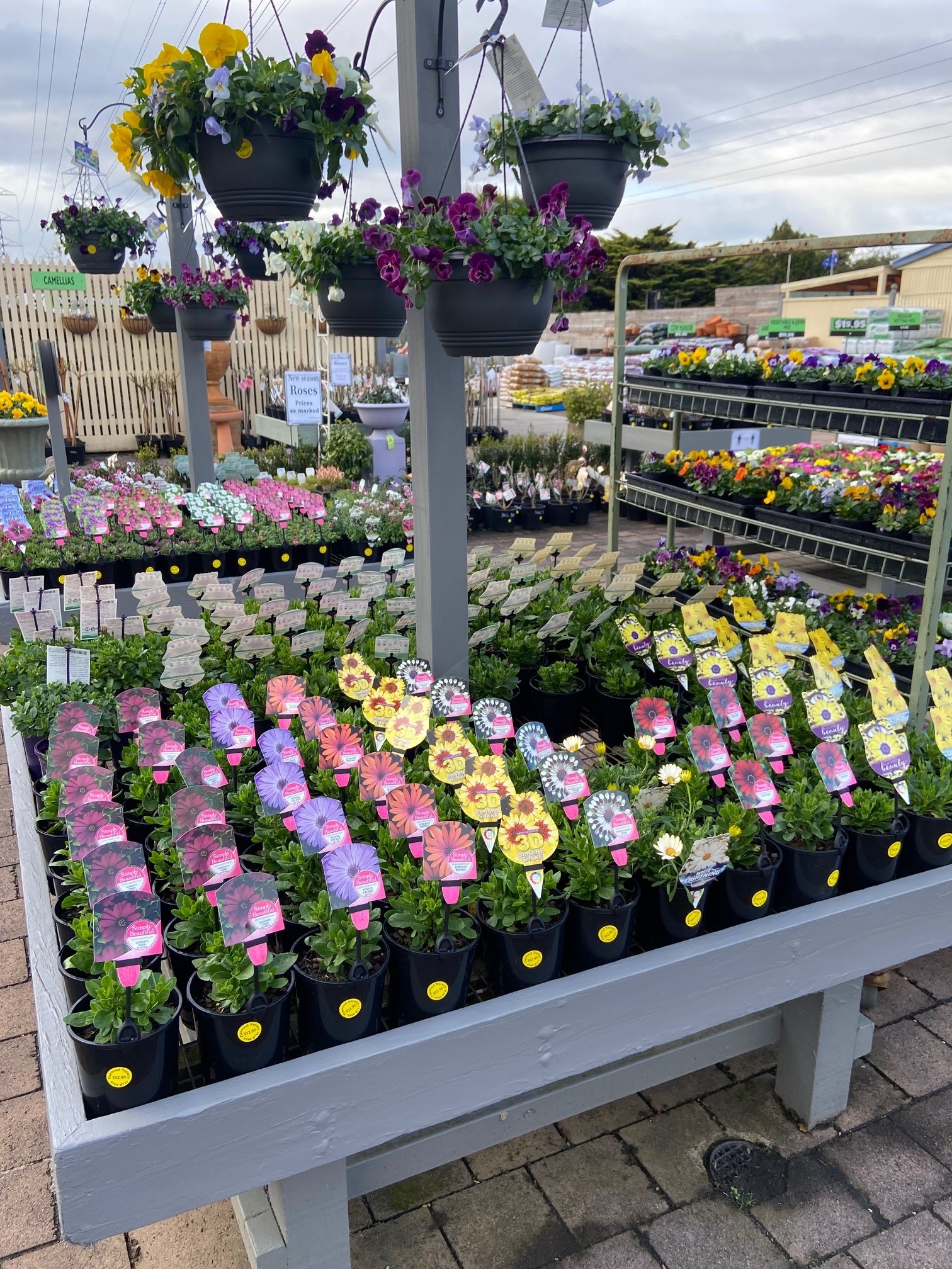 Plant range Pinewood Nursery