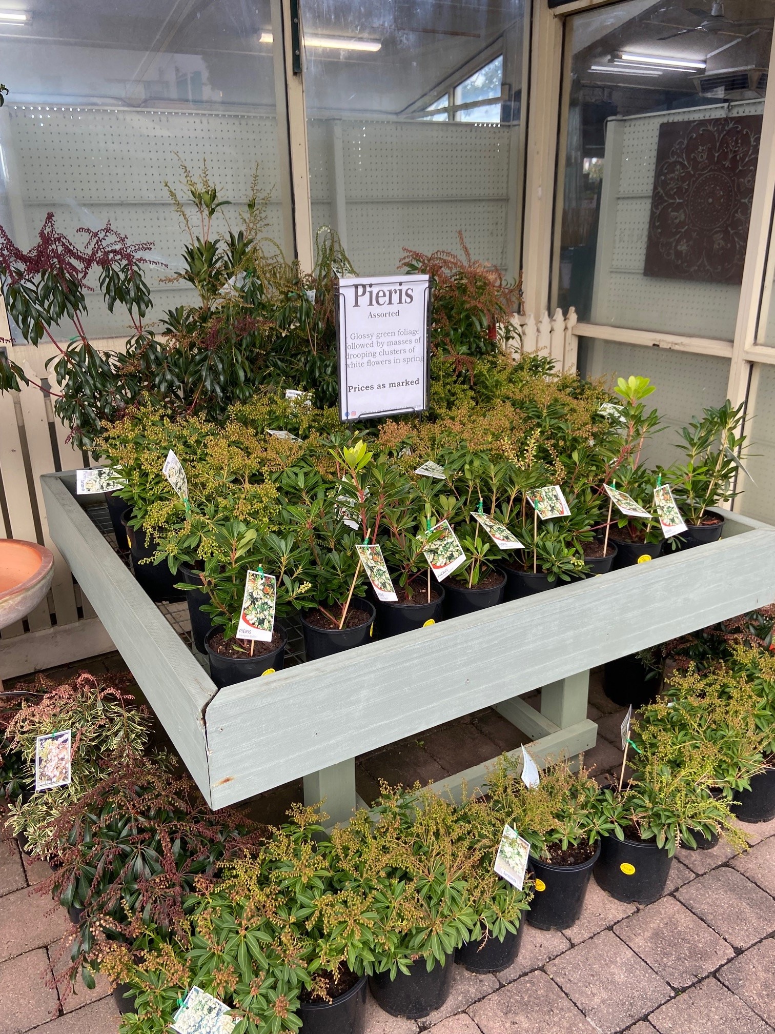 Plant range Pinewood Nursery