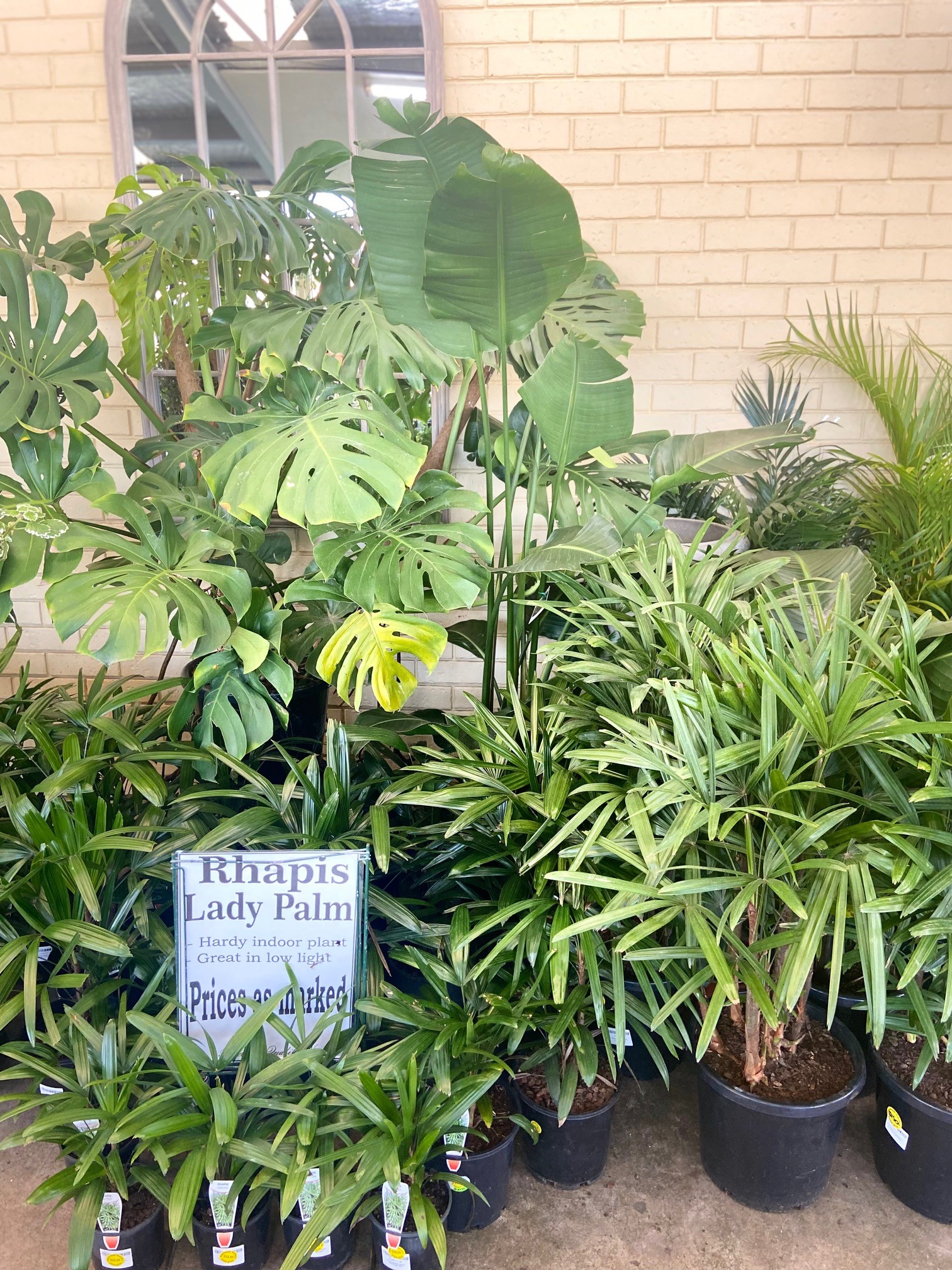 Plant range Pinewood Nursery