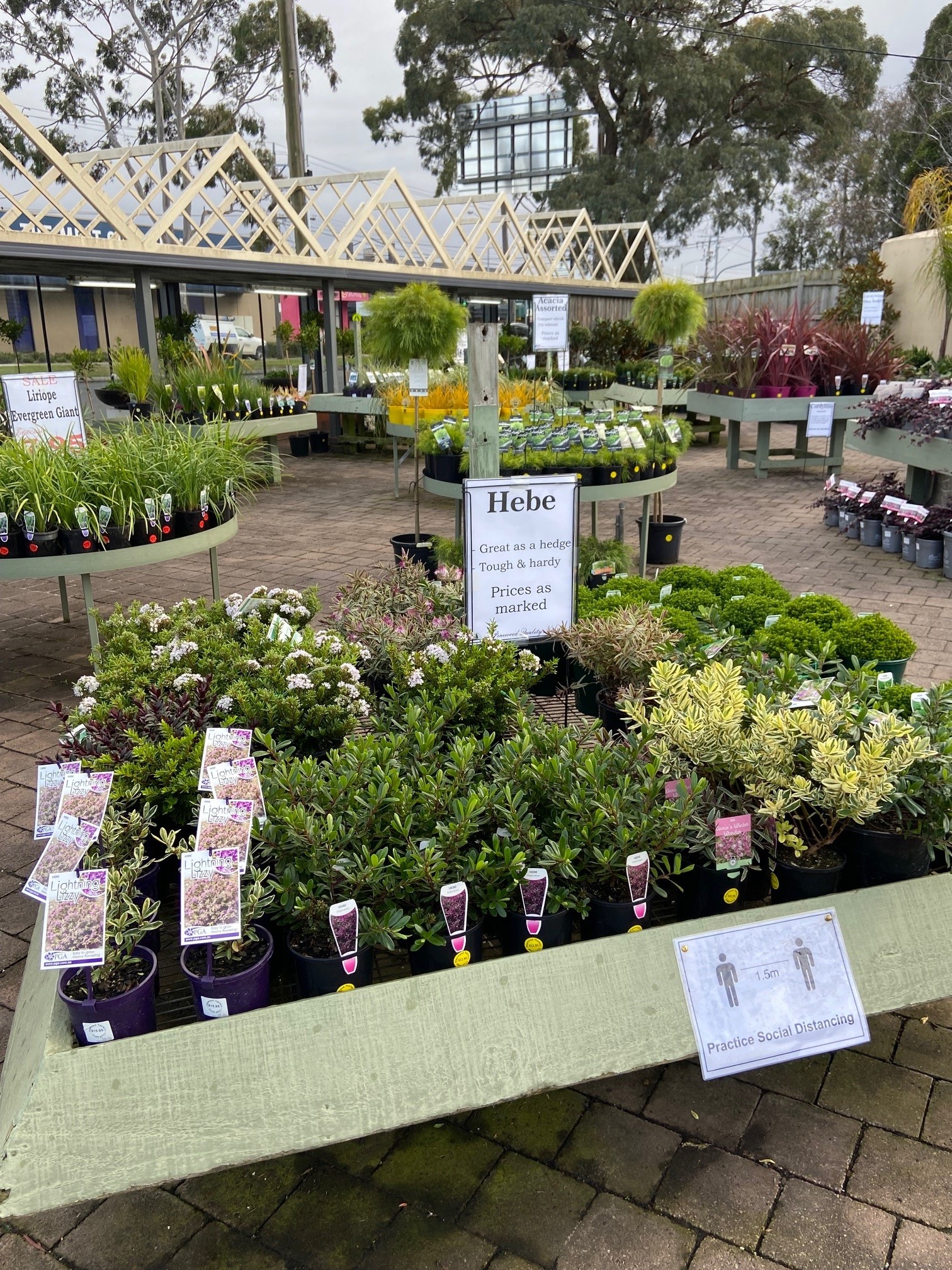 Plant range Pinewood Nursery