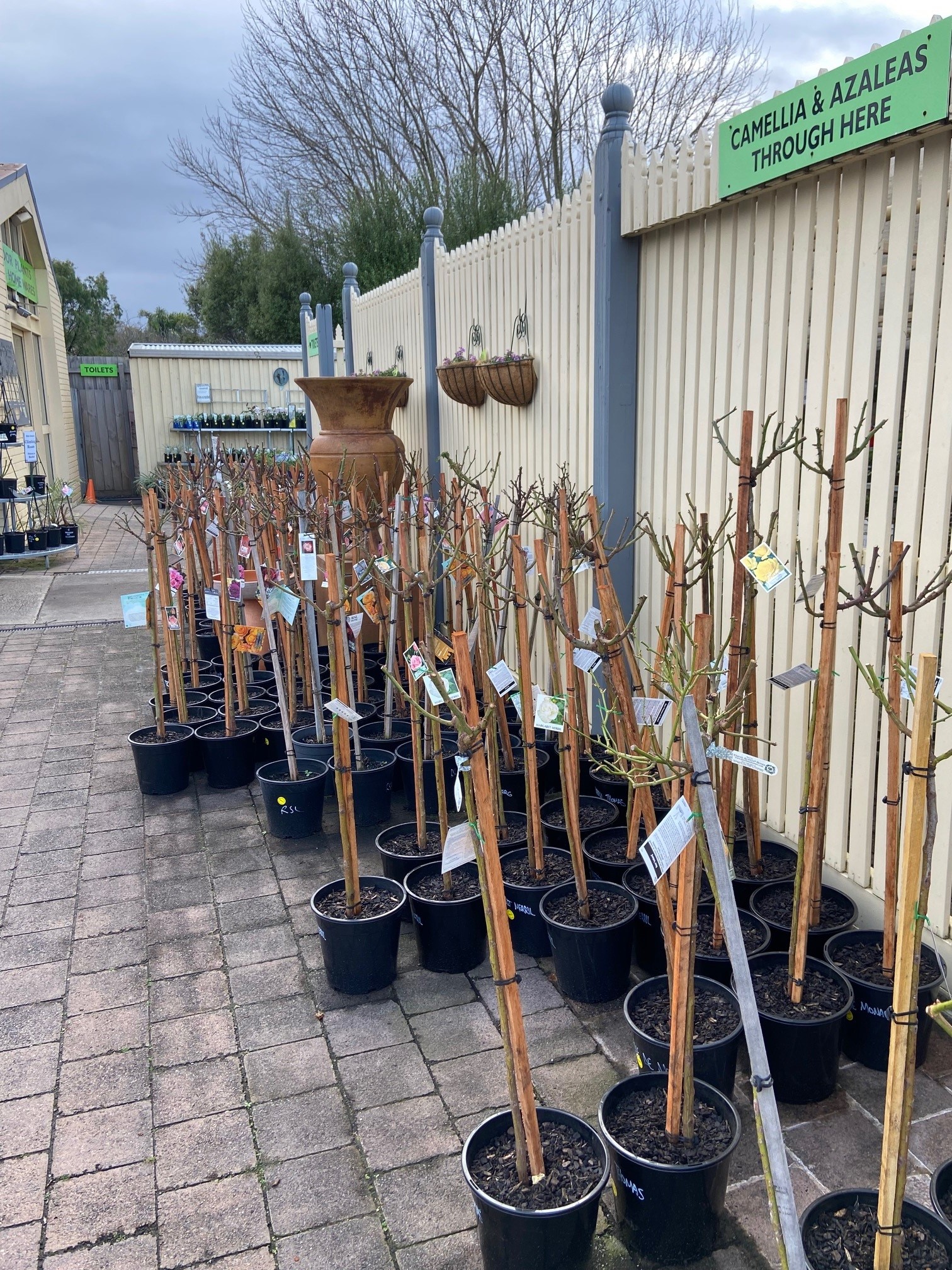 Plant range Pinewood Nursery