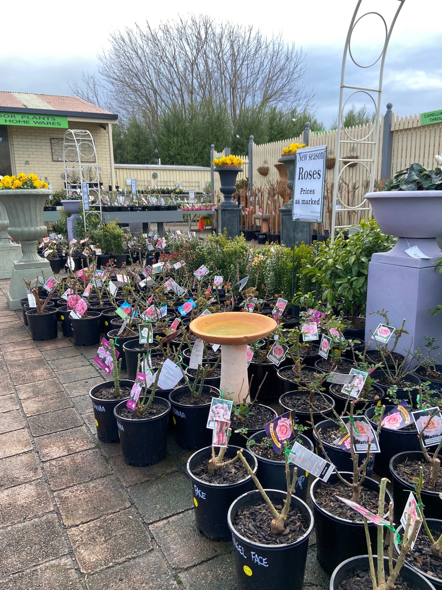 Plant range Pinewood Nursery